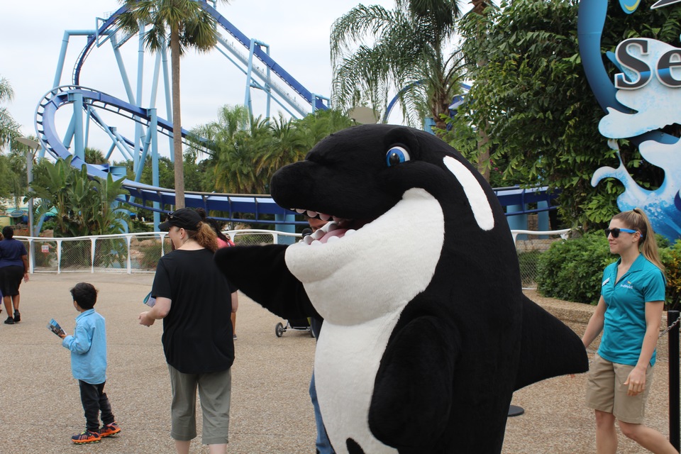 Sea world Celebration fall 2017